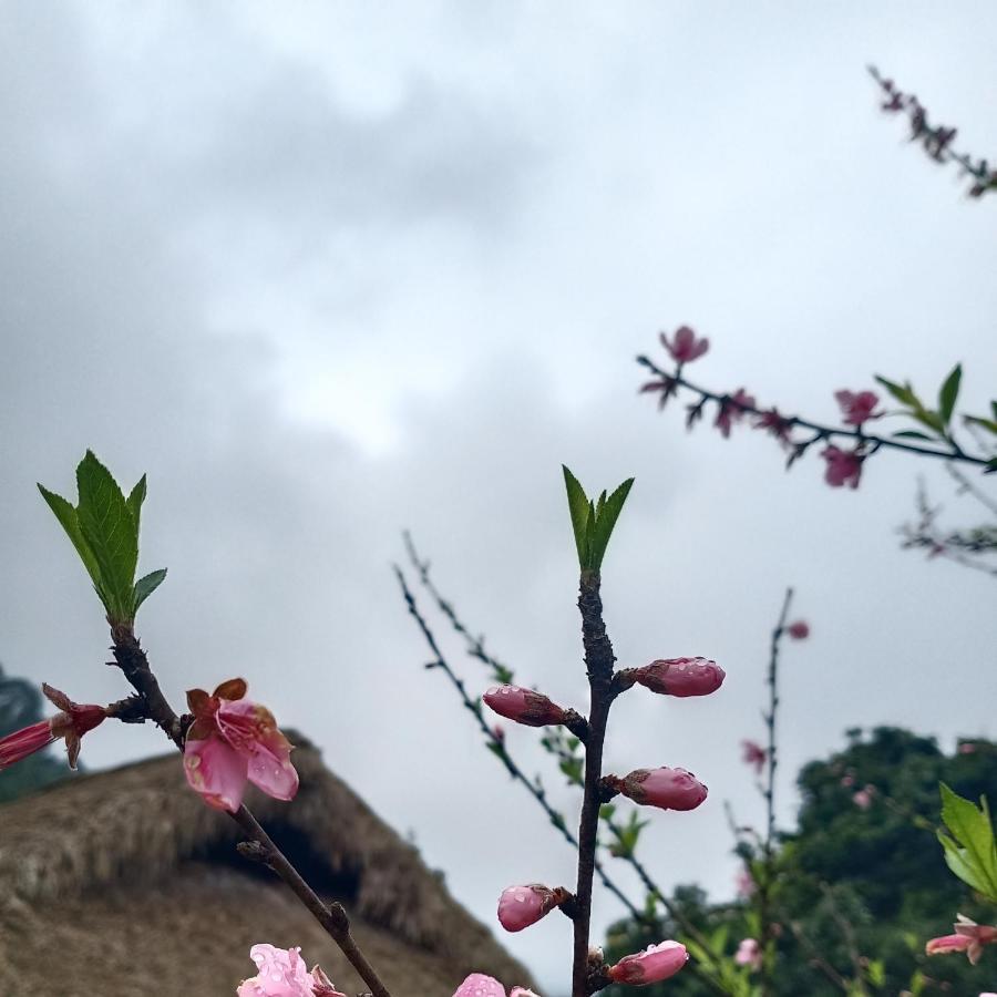 Dao Homestay Hoang Su Phi Ngoại thất bức ảnh