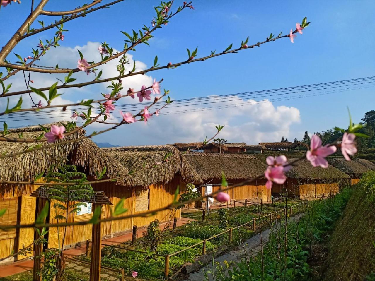 Dao Homestay Hoang Su Phi Ngoại thất bức ảnh