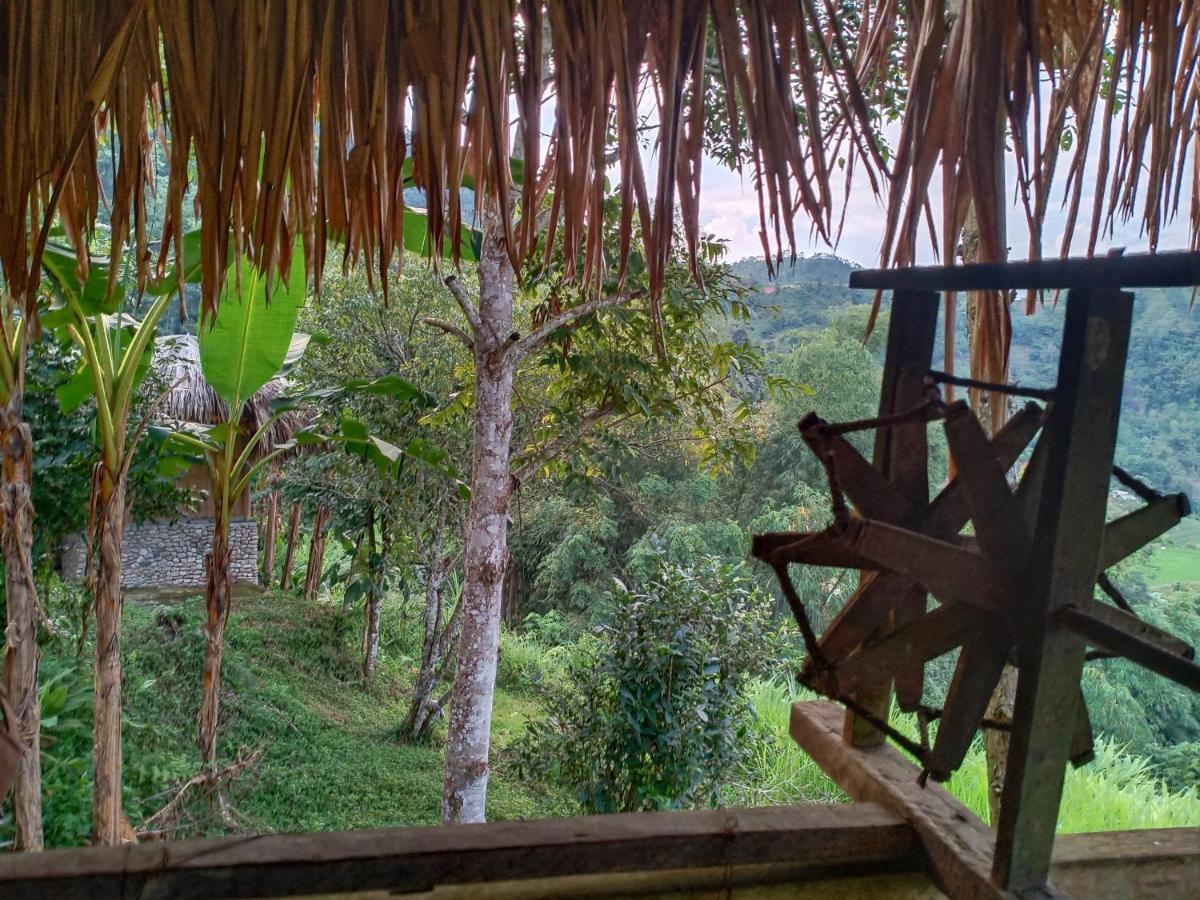 Dao Homestay Hoang Su Phi Ngoại thất bức ảnh